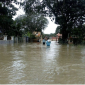 Floods during Swimming 85x85